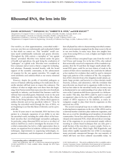 Ribosomal RNA, the lens into life