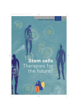 Stem Cell - European Commission