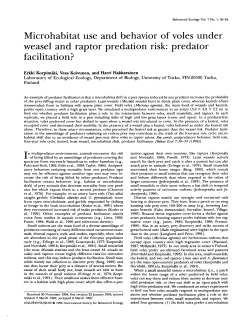 Microhabitat use and behavior of voles under weasel and raptor