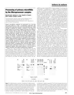 Processing of primary microRNAs by the Microprocessor complex