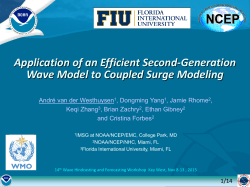 Presentation - International Workshop on Wave