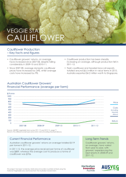 cauliflower