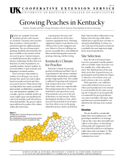 HO-57: Growing Peaches in Kentucky