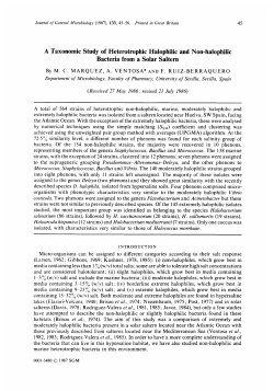 A Taxonomic Study of Heterotrophic Halophilic and