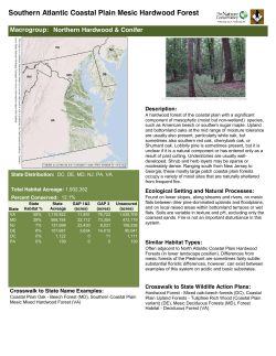 Southern Atlantic Coastal Plain Mesic Hardwood Forest