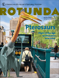 Rotunda Spring 2014 - American Museum of Natural History