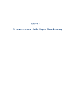 Section 7: Stream Assessments in the Niagara River Greenway