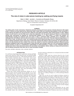 The role of vision in odor-plume tracking by walking and flying insects