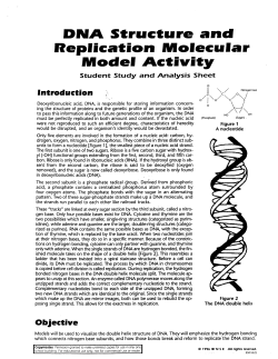 lUlodel Actirrity - Milton
