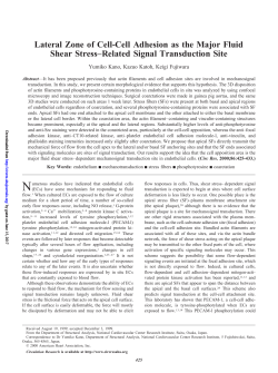 Lateral Zone of Cell-Cell Adhesion as the Major Fluid Shear Stress