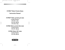 SYPRO&reg; Ruby Protein Stains Instruction Manual SYPRO&reg; Ruby