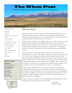 The Whoa Post - Big Sky Epagneul Breton Gun Dog Club