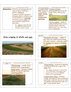 Strip-cropping of alfalfa and corn
