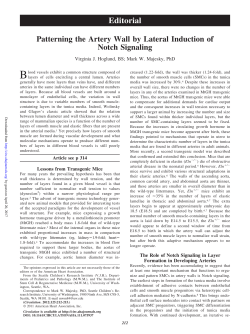 Patterning the Artery Wall by Lateral Induction of Notch Signaling