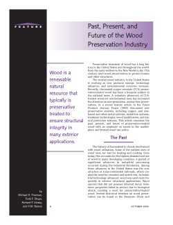 Past, Present, and Future of the Wood