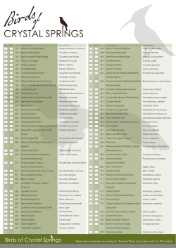 Bird List - Crystal Springs Mountain Lodge