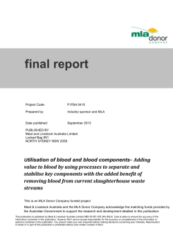 final report