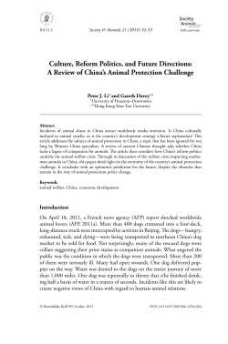 Culture, Reform Politics, and Future Directions