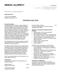 Golgi Isolation Kit (GL0010) - Technical Bulletin - Sigma