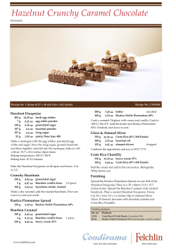 CS15241 Hazelnut Crunchy Caramel Chocolate_EN