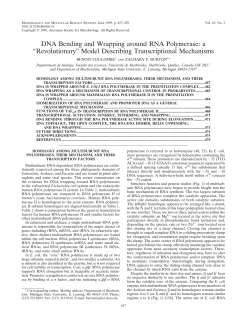 DNA Bending and Wrapping around RNA Polymerase: a