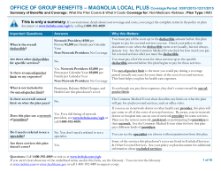 OFFICE OF GROUP BENEFITS &ndash; MAGNOLIA LOCAL PLUS