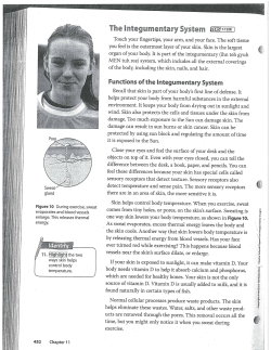 The integumentary System I