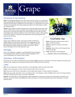 Grapes - Montana State University Extension