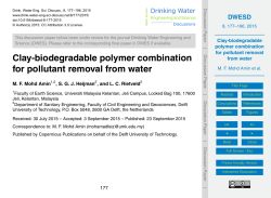 Clay-biodegradable polymer combination for pollutant