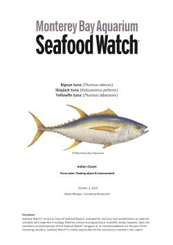 Indian Ocean Bigeye, Skipjack and Yellowfin Tuna