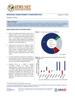 REGIONAL MAIZE MARKET FUNDAMENTALS Southern Africa