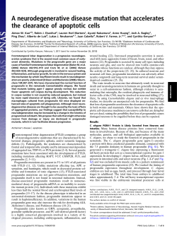 A neurodegenerative disease mutation that accelerates the