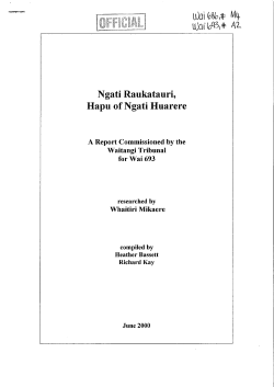 Ngati Raukatauri, Hapu of Ngati Huarere