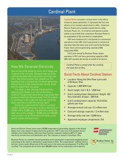 Cardinal Power Plant Facts - Holmes