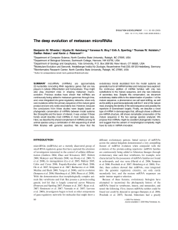 The deep evolution of metazoan microRNAs