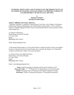 Extrinsic motivation and its effects on the productivity of