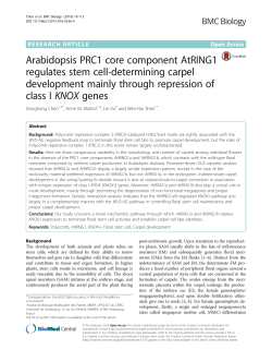 Arabidopsis PRC1 core component AtRING1