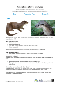 Adaptations of river creatures