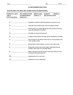 echinoderm review worksheet