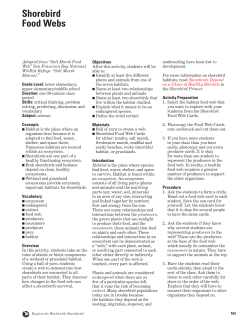 Shorebird Food Webs - Migration Science and Mystery