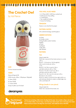 The Crochet Owl