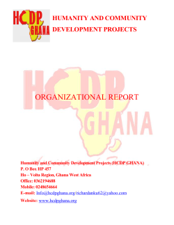 organizational report