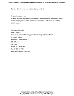 Alterations in seed development gene expression affect size and oil