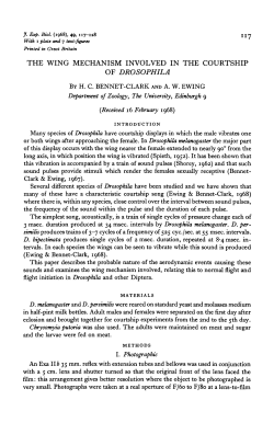 the wing mechanism involved in the courtship of drosophila