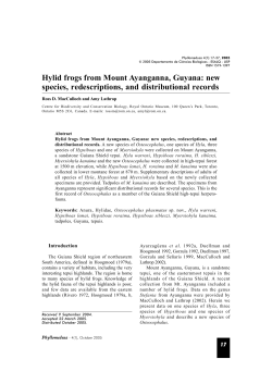 Hylid frogs from Mount Ayanganna, Guyana: new species