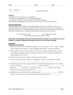 H63-Frog Dissection