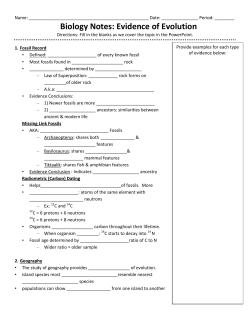 Biology Notes: Evidence of Evolution
