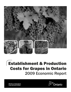 Establishment and Production Costs for Grapes in Ontario (2009)