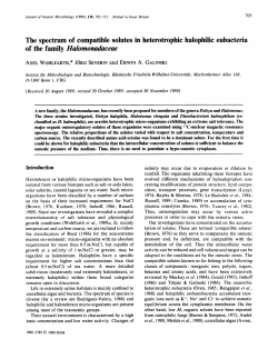 The spectrum of compatible solutes in heterotrophic