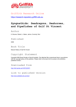 Chapter 13. Syngnathids: seadragons, seahorses